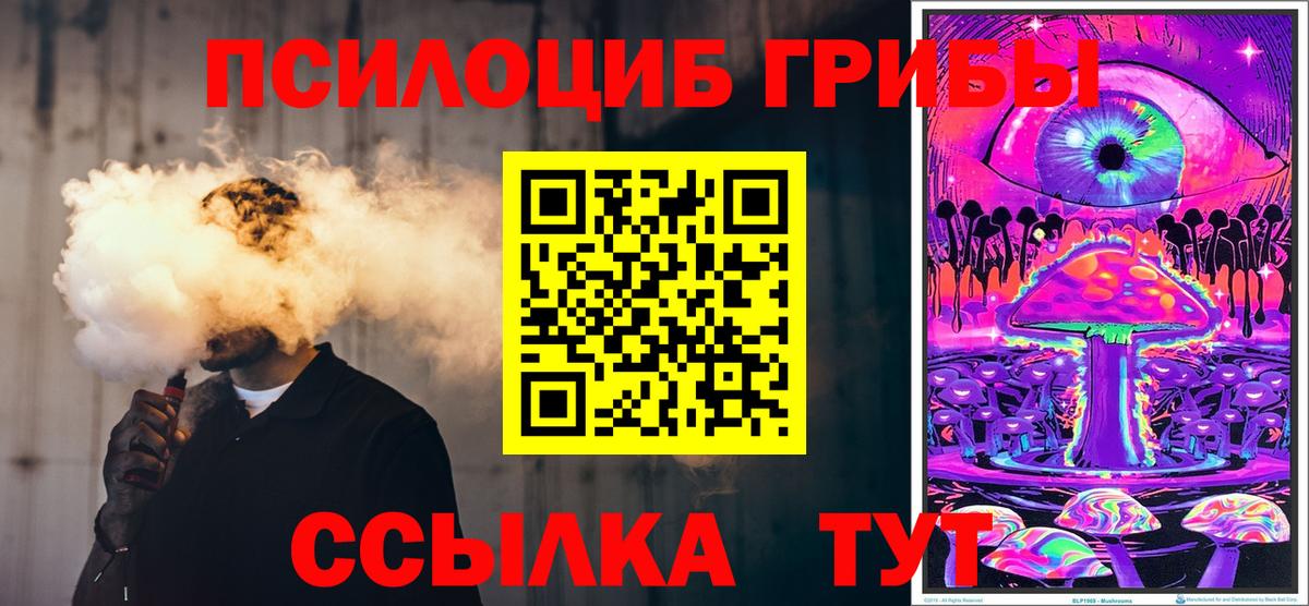 Галлюциногенные грибы Psilocybe Елабуга